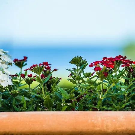 Aparthotel Amboula 4*